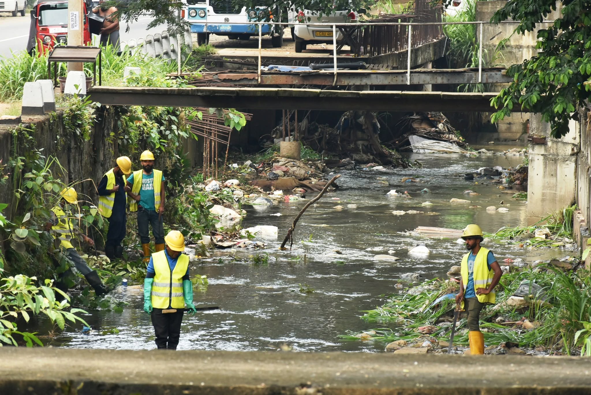 Gallery Media