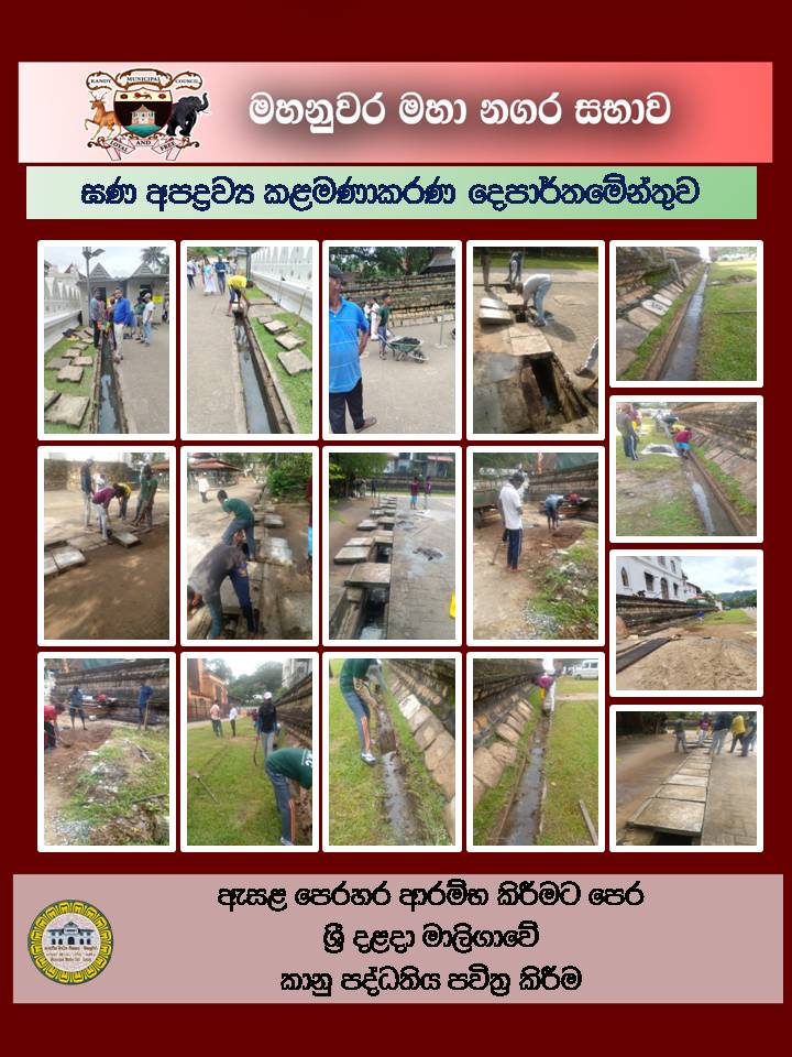 Gallery Media